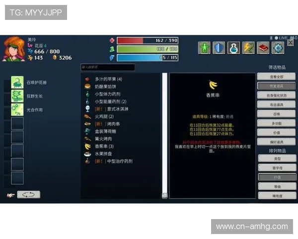 皇冠游戏辅助工具的最新版本介绍及其在游戏中的实际应用