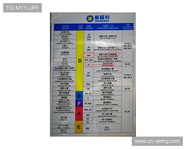 澳门利澳投注平台全面解析助你轻松掌握最新投注技巧与优惠政策